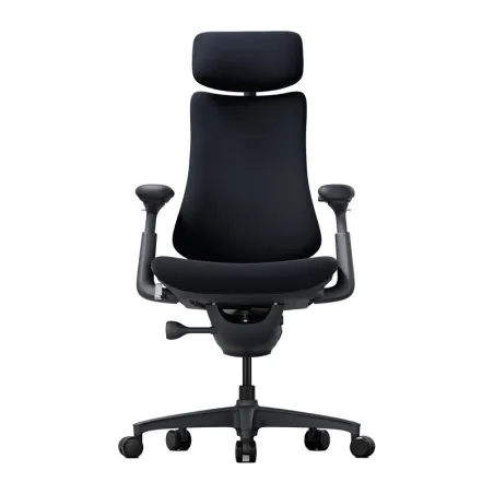 LiberNovo Omni 48 cm Ergonomic Chair (Black)